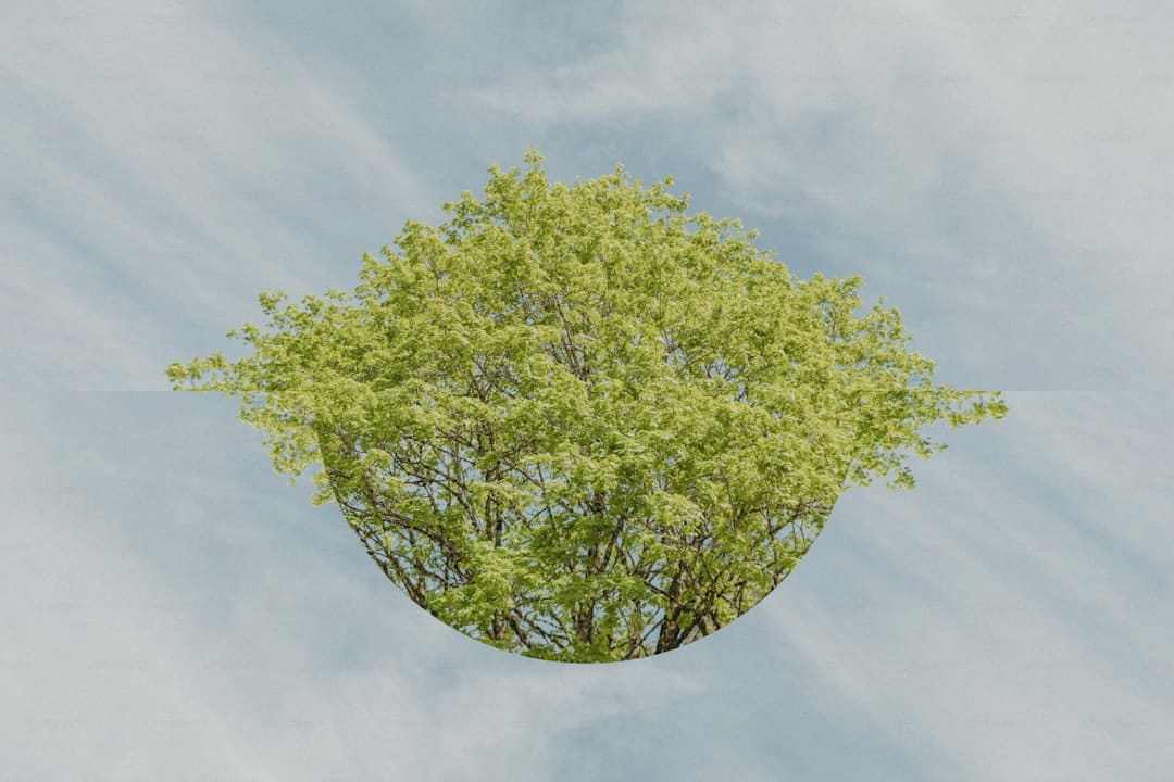 传承老西藏精力 续写高原新篇章